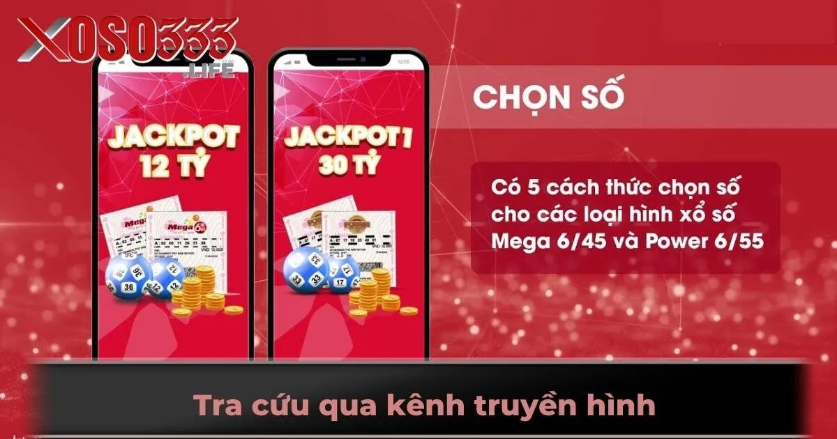 Tra cứu qua kênh truyền hình
